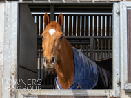 BP200326-81 - It's Hard To Know